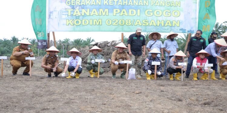 Tanam Padi Gogo, Kodim 0208 dan Pemkab Asahan Perkuat Ketahanan Pangan Daerah