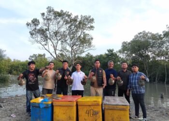 Polisi Polres Batu Bara mengamankan 300 ekor belangkas sebagai barang bukti kasus perdagangan satwa dilindungi