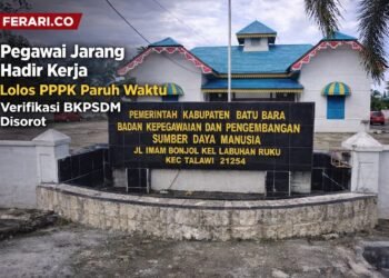 Jarang Hadir Kerja, Pegawai Lolos PPPK Paruh Waktu: Verifikasi BKPSDM Disorot