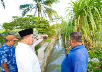 Tinjau Jembatan Air Hitam, Bupati Batu Bara Prioritaskan Perbaikan Infrastruktur dan Ketahanan Lingkungan