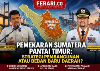 Pemekaran Sumatera Pantai Timur: Strategi Pembangunan atau Beban Baru Daerah?