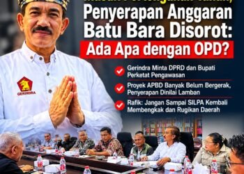 Masuk Pertengahan Tahun, Penyerapan Anggaran Batu Bara Disorot: Ada Apa dengan OPD?