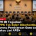 DPR RI Tegaskan PPPK Tak Boleh Diberhentikan, Dorong Pembiayaan Guru dan Nakes dari APBN