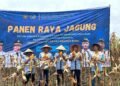 Panen Raya Jagung Lapas Labuhan Ruku Sukses, Dukung Ketahanan Pangan Nasional dan Pembinaan Warga Binaan