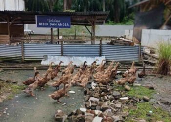 Lapas Labuhan Ruku Perkuat Ketahanan Pangan