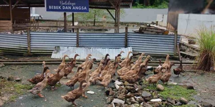 Lapas Labuhan Ruku Perkuat Ketahanan Pangan