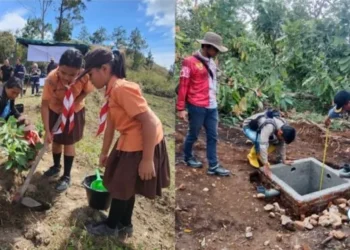 INALUM Perkuat Komitmen Lingkungan, Tanam Ratusan Ribu Pohon dan Rehabilitasi Mangrove di Batu Bara