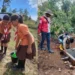 INALUM Perkuat Komitmen Lingkungan, Tanam Ratusan Ribu Pohon dan Rehabilitasi Mangrove di Batu Bara