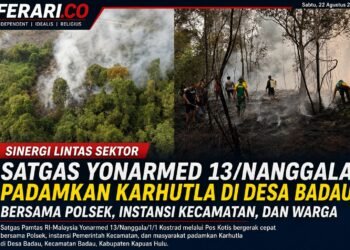 Sinergi Lintas Sektor, Satgas Yonarmed 13/Nanggala Padamkan Karhutla di Desa Badau