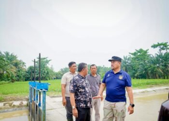 Tinjau Irigasi Primer Pasar 8, Bupati Baharuddin Dorong Perbaikan Saluran dan Potensi Wisata Air
